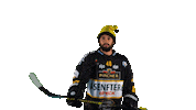 Hockey Look Sticker by HC Pustertal Wolves