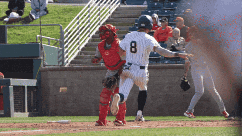 Eaters GIF by UCI Athletics