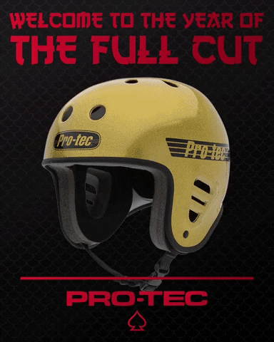pro-tec giphygifmaker helmet protec pro tec GIF