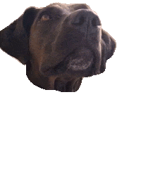 Lulu Sticker by Mari Easy Fitness