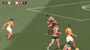 wayne milera afl GIF by Adelaide Crows