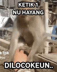 Struggle GIF