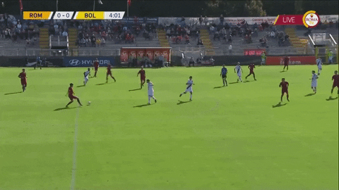 RudiNewsletter giphygifmaker GIF