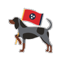 vol_trad vol trad volunteer traditions vol trad classic Sticker