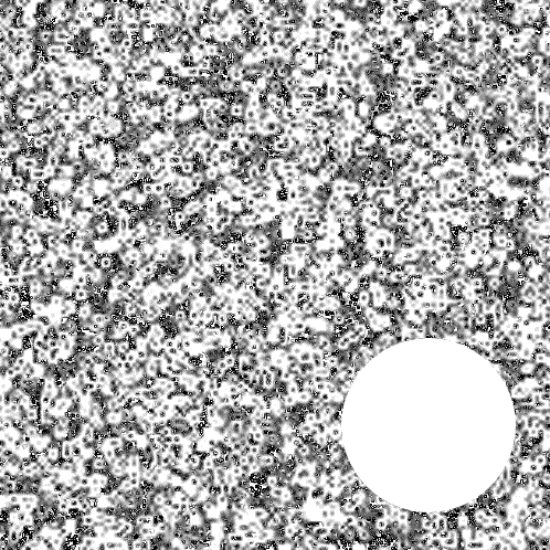 black and white animation GIF by weinventyou