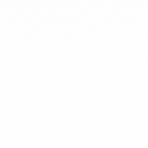 Lies Liars GIF
