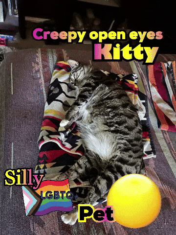 jeremyhyde627ac136f06448b08fd84066bbcb6435 giphyattribution pet silly GIF