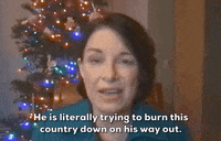 Amy Klobuchar GIF by GIPHY News