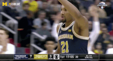 March Madness GIF by Michigan Athletics