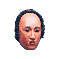 narrozunft scheme fasnet narro villingen Sticker