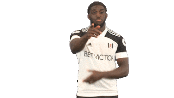 Celebration Goal Sticker by Fulham FC