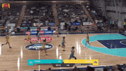 Basketball Score GIF by BasketballAustralia