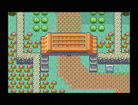 Pokemon Emerald GIF by Pokémon