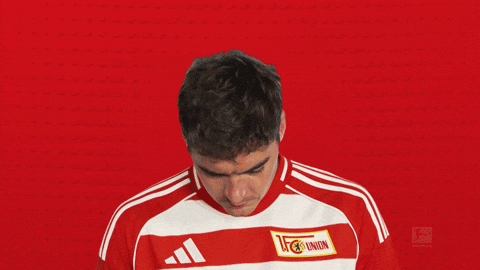 Union Berlin Skov GIF by Bundesliga