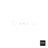 New Year Cheers Sticker by Pure Leaf
