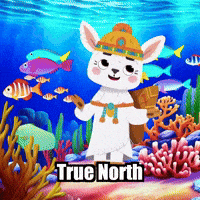 True North Wisdom GIF by Llamaozi