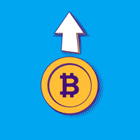 Excited All Time High GIF by Paxful