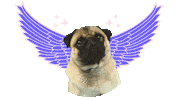 Puppy Fly Sticker by CV Atelier