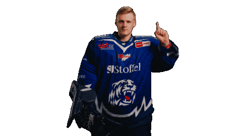 Pennydel Sticker by Straubing Tigers