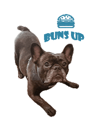 French Bulldog Hamburger Sticker