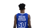 Sport Basketball Sticker by Basket_fi