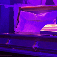 Streamer Resting GIF