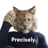 newlook-ca sunglasses glasses eyewear lynx Sticker