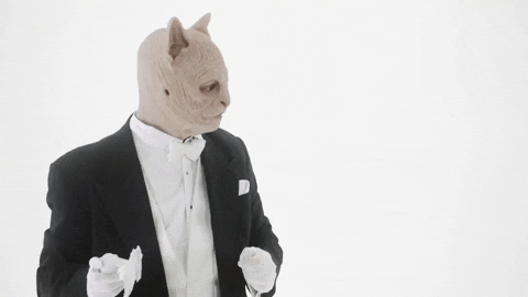 on the square GIF by Mac DeMarco