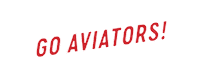 Tennis Court Sticker by San Diego Aviators