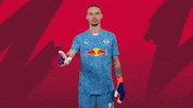 Sport Rbl GIF by RB Leipzig
