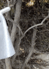 Halloween Horror GIF by Flat Bonnie