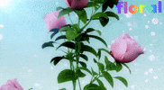 floralworlds2024 nature flowers floral GIF