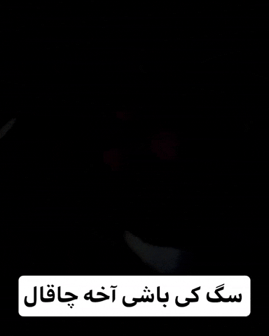 Rap GIF