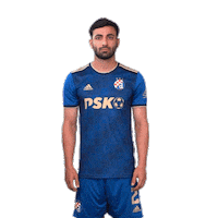 Football Soccer Sticker by GNK Dinamo