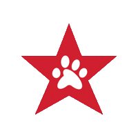 Servicedogs Sticker by Freedom Service Dogs of America