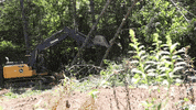 Timber Excavator GIF by JC Property Professionals