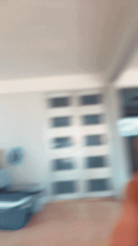 Puerto Rico Pr GIF