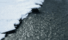 water GIF