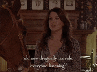 season 4 netflix GIF by Gilmore Girls 