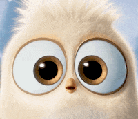 hatchlings GIF by Angry Birds