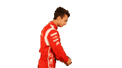 Formula 3 F3 Sticker by Prema Team