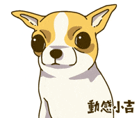 Animation Dog GIF