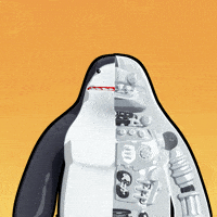 Shark What GIF by Party Icons