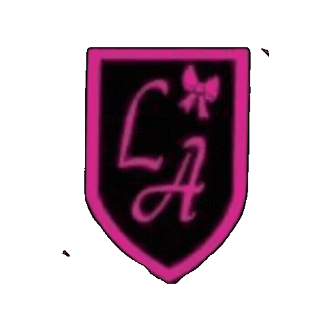 Champions Irish Sticker by Ashling Daly