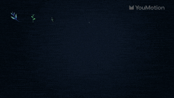Animated Flowers