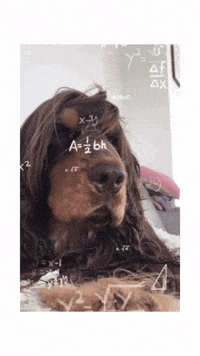 Say What Let Me Think GIF