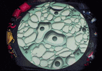 Interbeing GIF by Olin College of Engineering