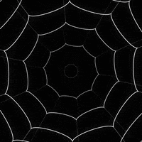Spider Web Loop GIF