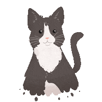 Floating Ghost Cat Sticker by petall