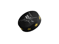 Hockey Kif Sticker by HSP Gripen